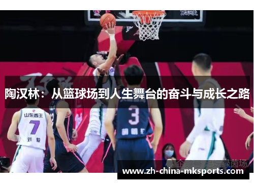 陶汉林：从篮球场到人生舞台的奋斗与成长之路